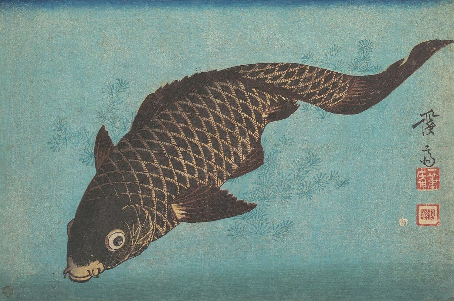 Ví dụ về Bottom Sheet